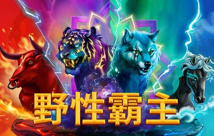 cbin仲博官方网页版